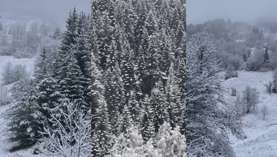 Pamje mahnitëse nga Rugova, bora mbulon malet