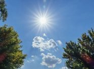 Parashikimi i motit për nesër