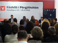 VV e mbledh Këshillin e Përgjithshëm, votojnë kandidatin për kryeministër në zgjedhjet e 28 dhjetorit