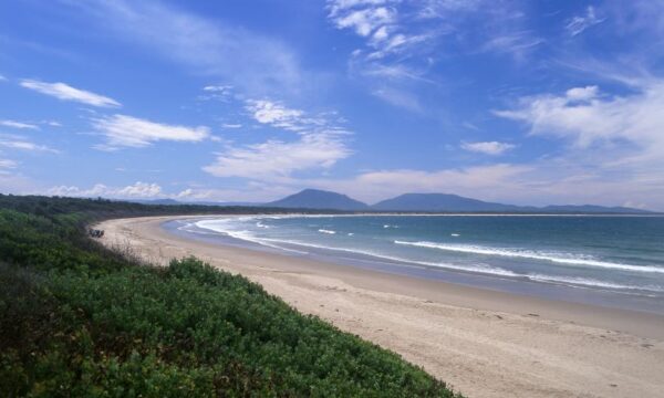 Një zvicerane vdes nga sulmi i peshkaqenit në Australi