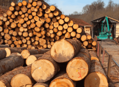 Industria e drurit kërkon procedura lehtësuese për eksport, rritja e kostove të lëndës së parë po ndikon në çmimet finale
