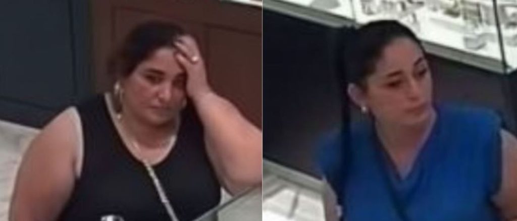 Lajmëroni Policinë nëse shihni këto dy gra, po kërkohen për vjedhje