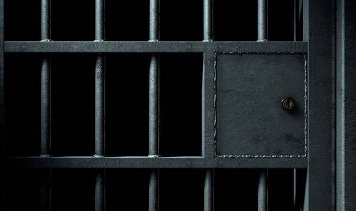 Mbolli 3 parcela me kanabis sativa në Malishevë  ekstradohet i dyshuari nga Shqipëria  kërkohet paraburgim