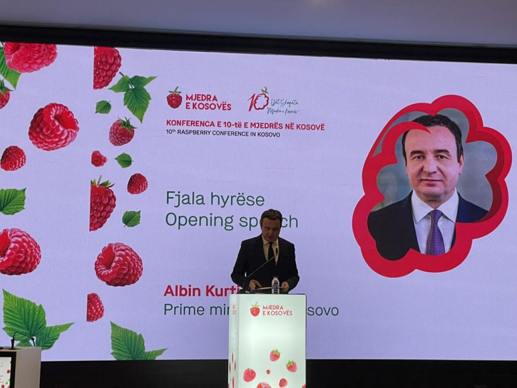 Albin Kurti në Konferencën e Mjedrës: Një premtim nga Qeveria, do të jem partner jo spektator