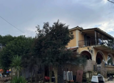 Tragjedia në Zakynthos të Greqisë ku qeni mbyti 2 vjeçarin shqiptar, flet babai i viktimës