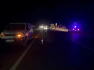 Aksident me fatalitet në Shkodër, shtetasi slloven përplas këmbësoren