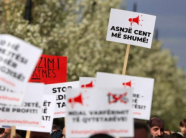 Paralajmërohet sërish shtrenjtim i çmimit të rrymës, ZRRE njofton se shqyrtimi i tarifave fillon së shpejti