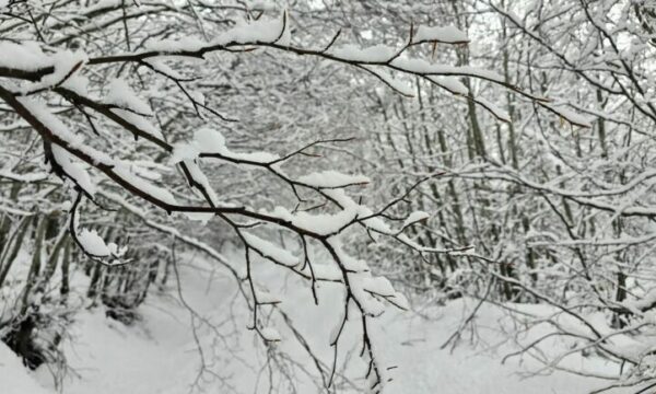 Borë e acar në ndërrimin e motmoteve, paralajmërohen temperatura deri në -20 gradë