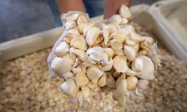 Nga elektronika tek ushqimi: Kosova shpenzoi gati 900 milionë euro për mall kinez