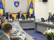 Kurti ndan 1.28 milion euro për Programin e Ringjalljes Ekonomike dhe 735 mijë tjera për Depon Qendrore të Barnave