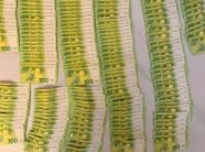 Bastisje në Suedi e Kosovë, një i arrestuar për drogë e pastrim parash, u sekuestruan prona, para…