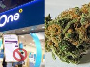 Arrestohen për drogë dy drejtorë të “One Albania”, dalin emrat e tyre