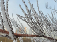 E premte me temperatura nën zero, diell gjatë ditës