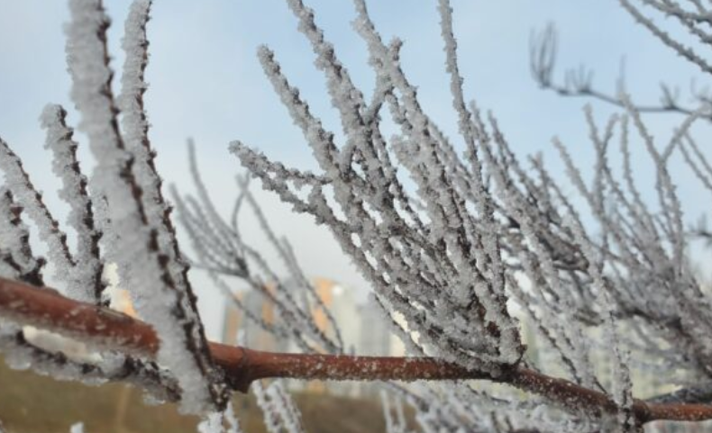 E premte me temperatura nën zero, diell gjatë ditës
