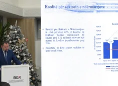 Guvernatori i Bankës Qendrore: Presim që viti të mbyllet me rritje prej 3.9%