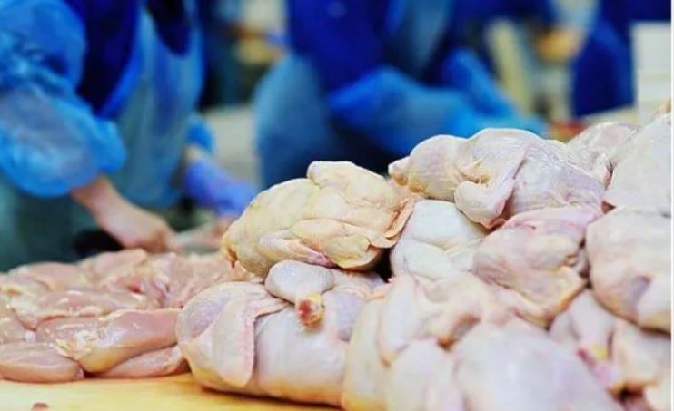 AUV asgjëson 19200 kg mish pule të importuar nga Polonia