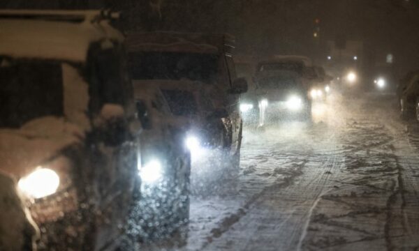 Zvicra përgatitet për temperatura të ulëta, ndërsa akullnajat vazhdojnë