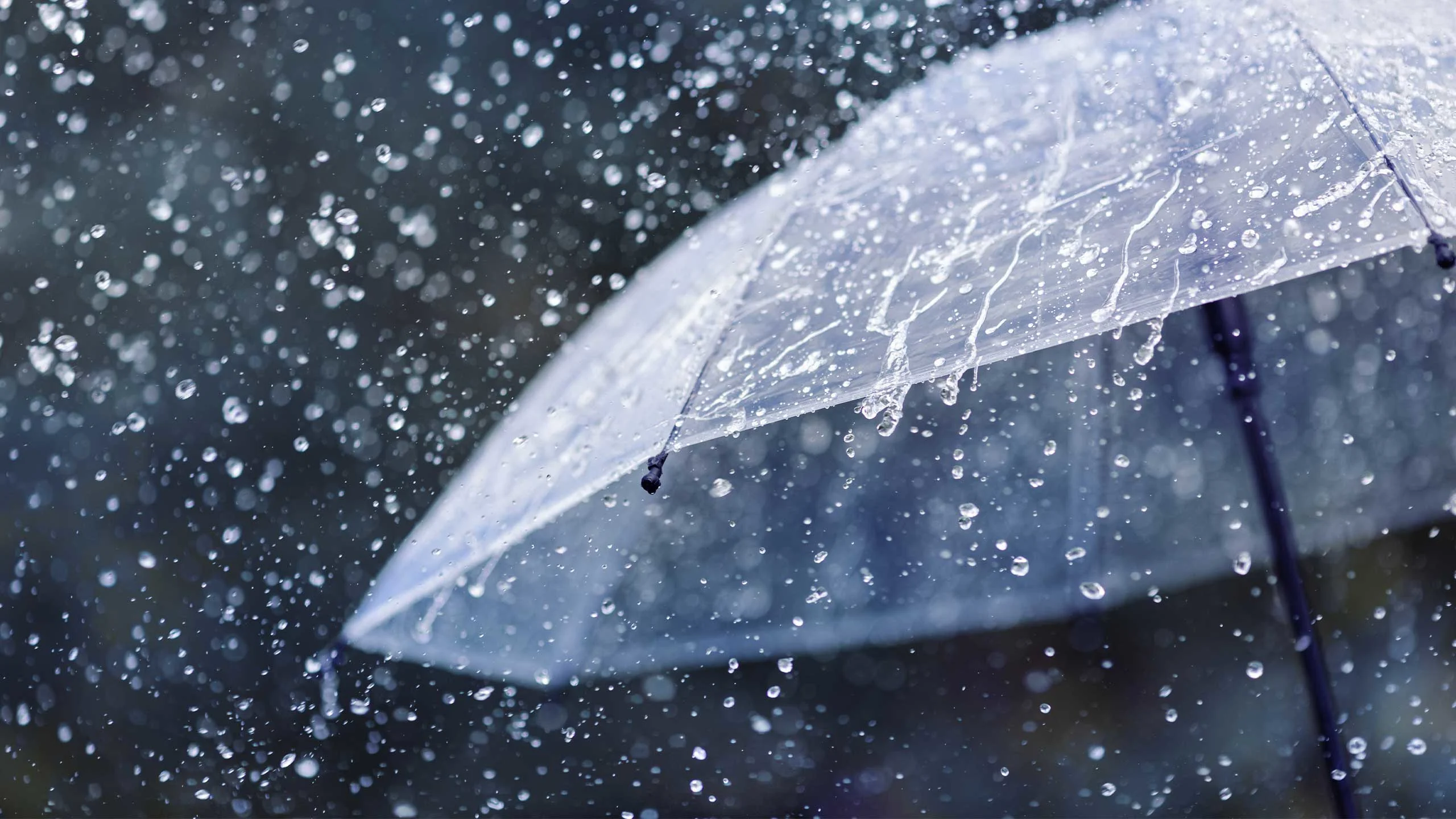 Parashikimi i motit për ditën e martë