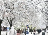 Nis depërtimi i masave të ftohta ajrore me origjinë polare, reshje bore gati në gjithë Kosovën