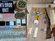 “Pinku” dhe “Dora e Kapur” çojnë në pranga 4 të dyshuar, konfiskohen drogë dhe mbi 25 mijë euro