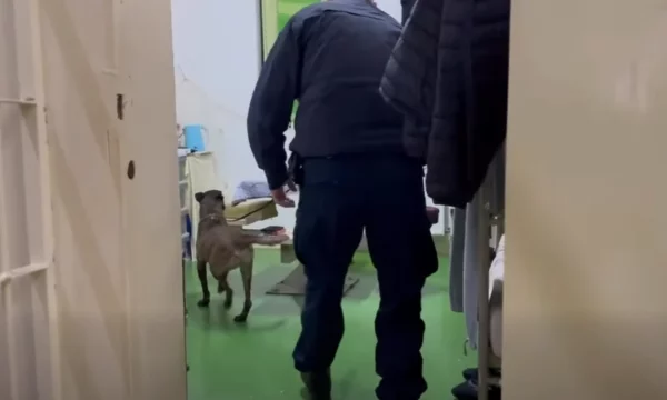 Bastisje në Qendrën Korrektuese të Dubravës, mori pjesë edhe njësiti K9