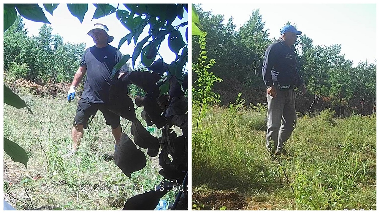 Aktakuzë ndaj shtetasit shqiptar për kultivim të drogës në Malishevë
