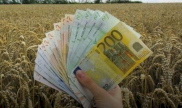 hapet-afati-per-subvencione-ne-blegtori-dhe-akuakulture-per-vitin-2025