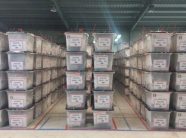 perfundon-rinumerimi-ne-9-komuna,-kqz-paraqet-rezultatet