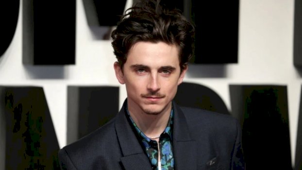 timothee-chalamet-behet-aktori-me-i-ri-me-tre-nominime-per-cmimin-oscar,-arrin-kete-sukses-qe-nga-legjenda-marlon-brando