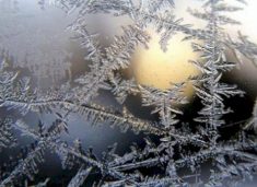 raportohet-edhe-per-te-vdekur-ndersa-stuhia-dimerore-perfshin-pjesen-me-te-madhe-te-shba-se