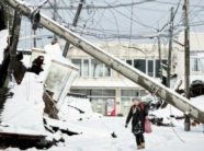 bora-paralizon-japonine,-16-viktima-dhe-kaos-ne-transport