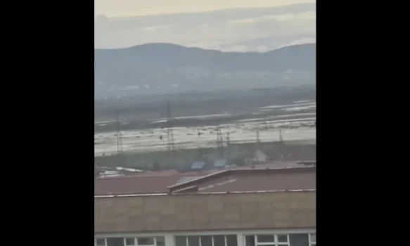 sitnica-del-nga-shtrati