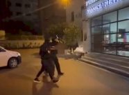 arrestohet-besim-sherifi-i-akuzuar-per-vrasje-te-trefishte,-perdorte-dokumente-te-rrejshme-ne-emer-te-nje-kosovari