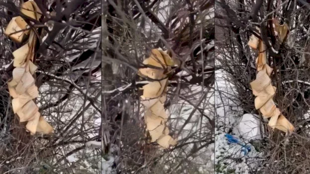 demtohet-kurani-ne-gjakove-–-policia-nis-hetimet