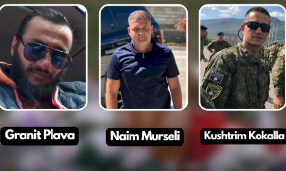 heren-e-pare-doli-pa-probleme,-plava-do-serish-ekzaminim-psikiatrik-–-gjykata-thote-‘jo’