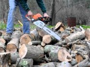 u-lendua-aksidentalisht-duke-prere-nje-lis,-nderron-jete-nje-burre-ne-rahovec