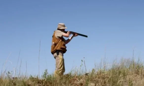 sezoni-i-gjuetise-perfundon-ne-kosove,-fondacioni-per-te-drejtat-e-kafsheve-ben-thirrje-per-vigjilence