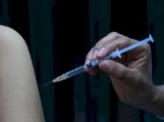 rritje-alarmante-e-rasteve-me-fruth-ne-amerike