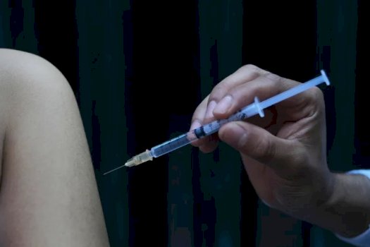 Rritje alarmante e rasteve me fruth në Amerikë