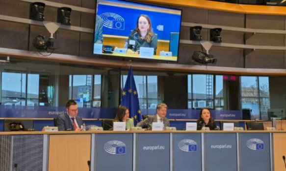 nenkryetarja-e-pdk-se-alarmon-ne-bruksel-se-me-kurtin-po-instalohet-mendesia-autoritare:-duhet-monitorim-i-rrepte