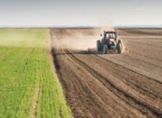 rriten-cmimet-ne-bujqesi,-ask-publikon-statistikat-duke-bere-krahasime-mes-dhjetorit-2025-dhe-dhjetorit-2024