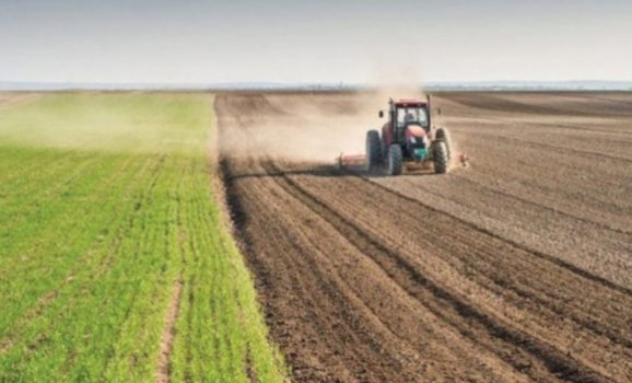 rriten-cmimet-ne-bujqesi,-ask-publikon-statistikat-duke-bere-krahasime-mes-dhjetorit-2025-dhe-dhjetorit-2024