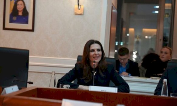 zhvillimet-ne-hage,-citaku-falenderon-partite-per-shtyrjen-e-seances-se-kuvendit