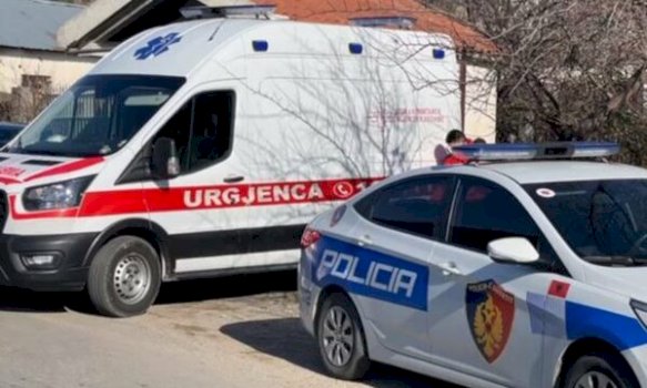 shkoi-per-te-punuar-ne-hidrocentral,-vdes-ne-maliq-inxhinieri-nga-kosova