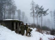 fsk-ja-krah-nato-s,-ne-stervitjen-“dynamic-front”