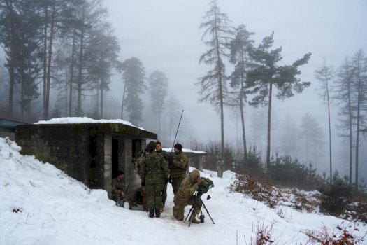 fsk-ja-krah-nato-s,-ne-stervitjen-“dynamic-front”