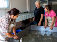 mes-bunareve-dhe-kazaneve,-kosova-enderron-ekonomine-moderne