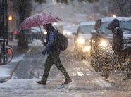 “paralizohet”-nju-jorku-prej-stuhise,-kryebashkiaku-mamndani-ndalon-qarkullimin,-parashikohen-reshje-deri-ne-70-cm