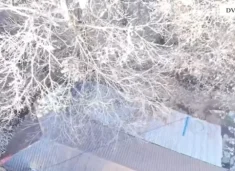 sekuestrohen-arsenal-armesh-zjarri-dhe-municion-luftarak-ne-shkoder,-arrestohen-dy-persona