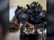 sekuestrohen-rreth-57-kg-lende-narkotike-kanabis,-arrestohen-dy-persona-ne-vlore